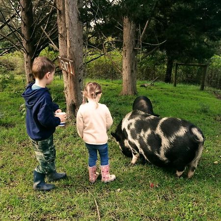 Fernhill Guest Farm Villa Knysna Kültér fotó