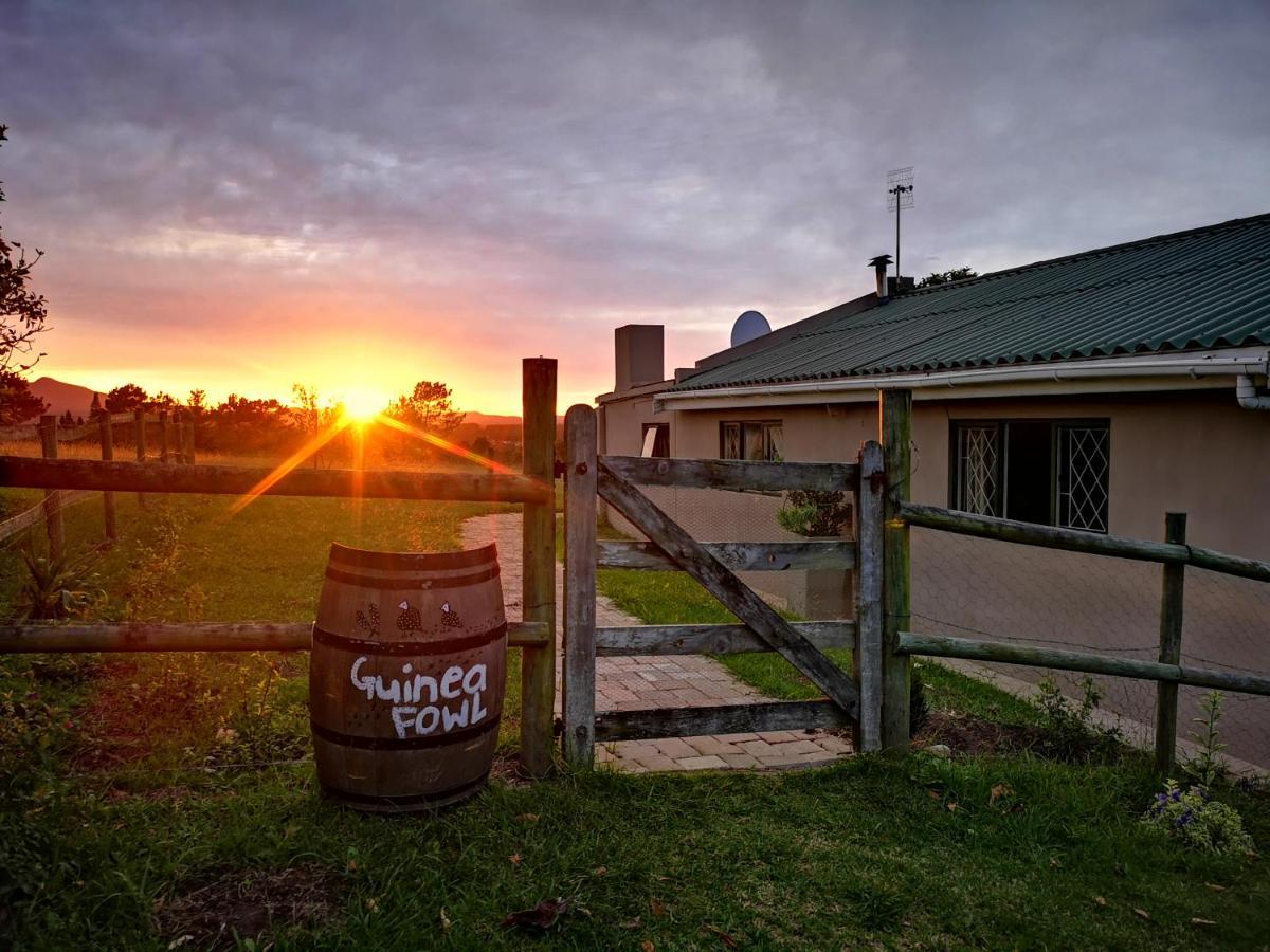 Fernhill Guest Farm Villa Knysna Kültér fotó