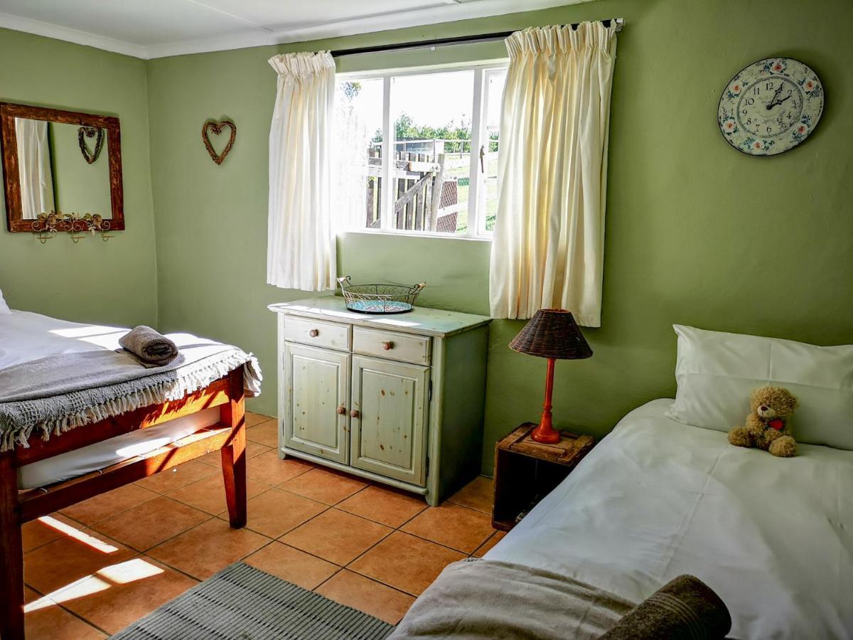 Fernhill Guest Farm Villa Knysna Kültér fotó