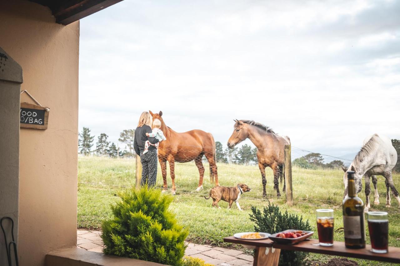 Fernhill Guest Farm Villa Knysna Kültér fotó