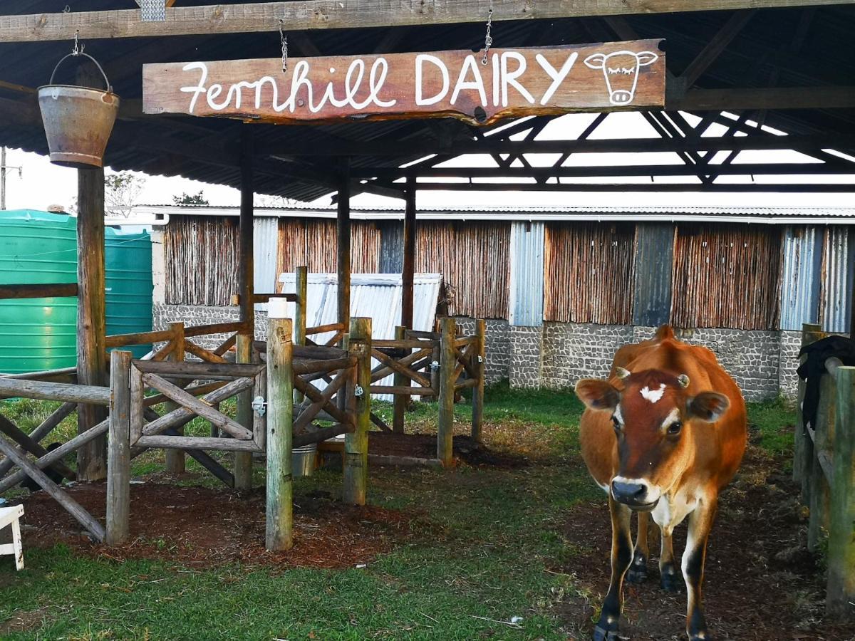 Fernhill Guest Farm Villa Knysna Kültér fotó