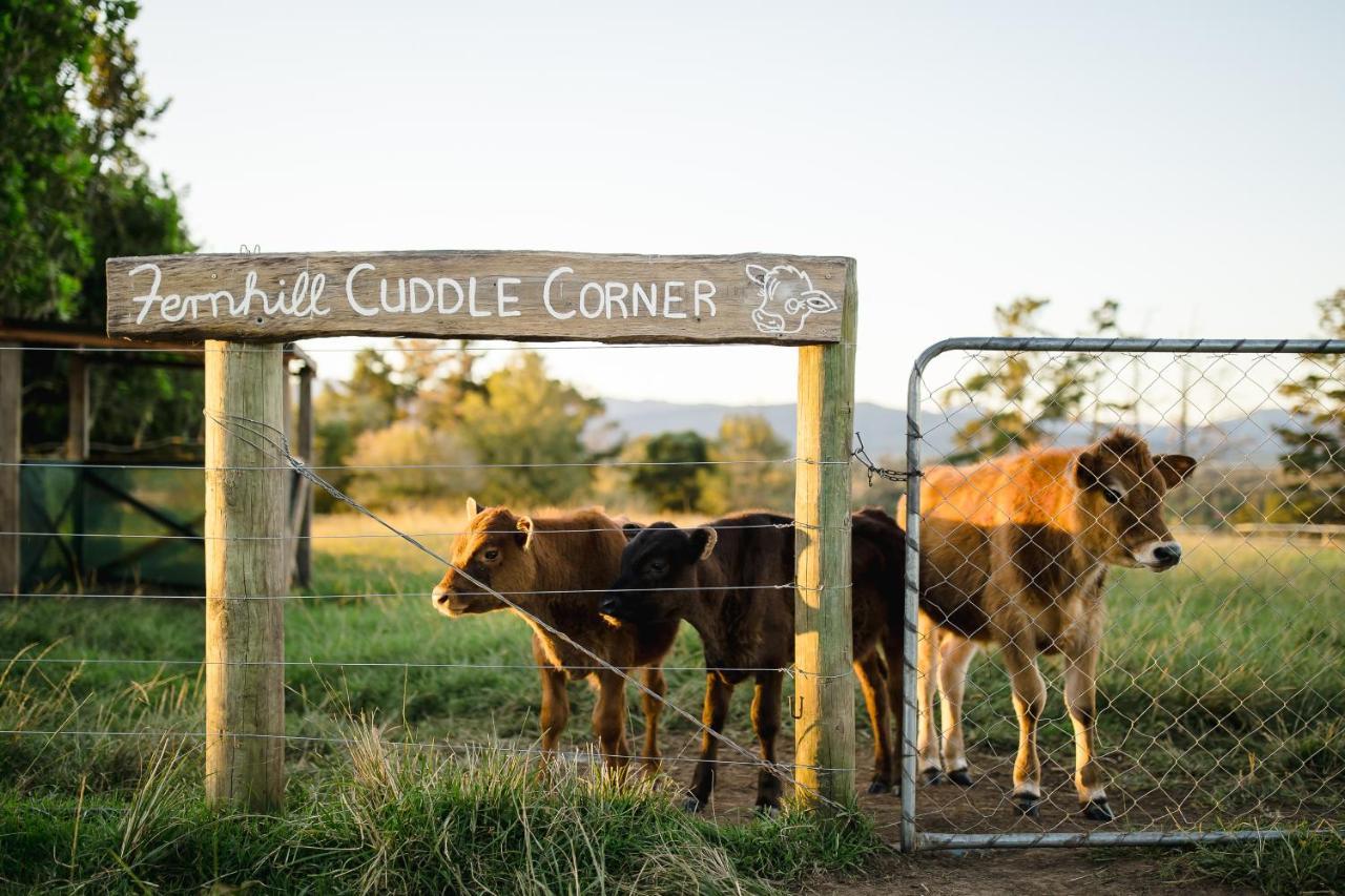 Fernhill Guest Farm Villa Knysna Kültér fotó