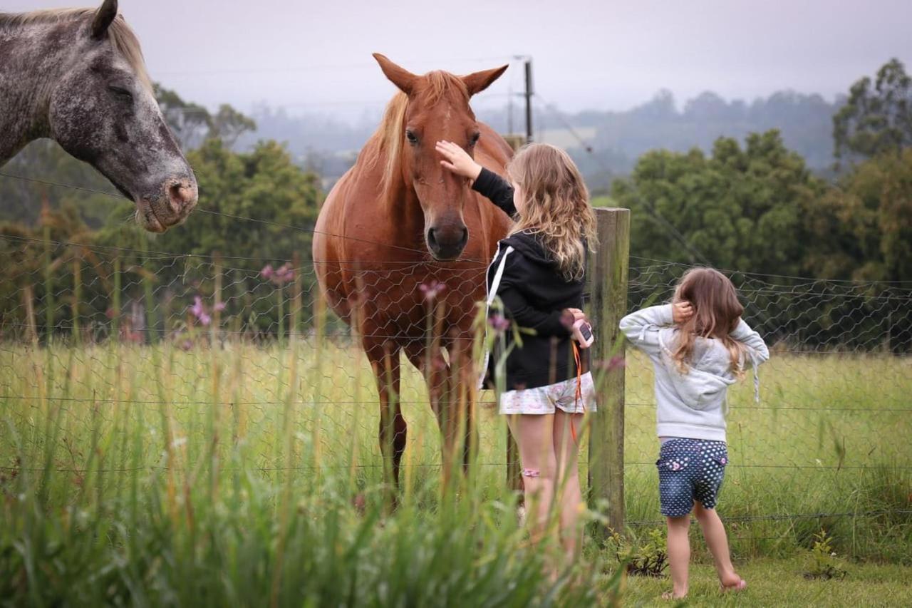 Fernhill Guest Farm Villa Knysna Kültér fotó
