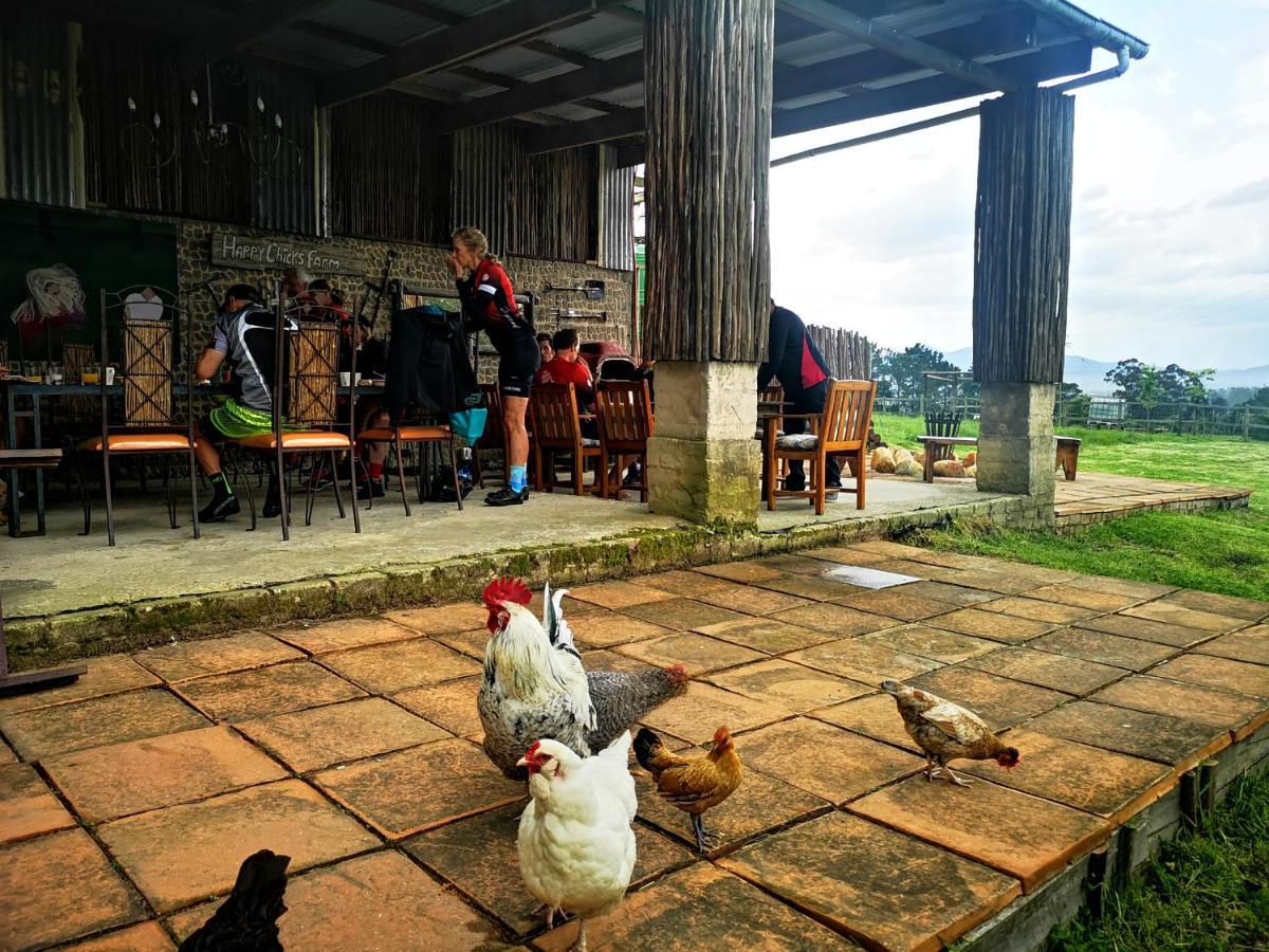 Fernhill Guest Farm Villa Knysna Kültér fotó