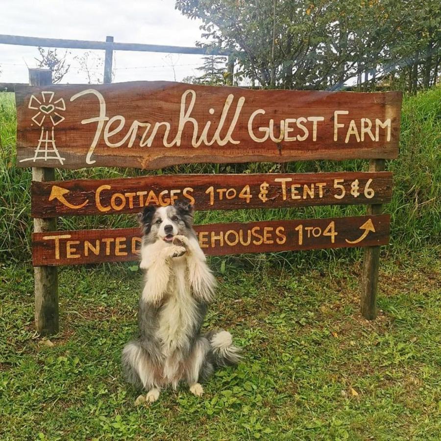 Fernhill Guest Farm Villa Knysna Kültér fotó