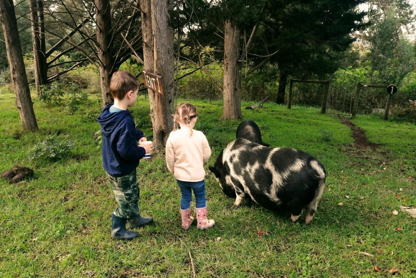Fernhill Guest Farm Villa Knysna Kültér fotó